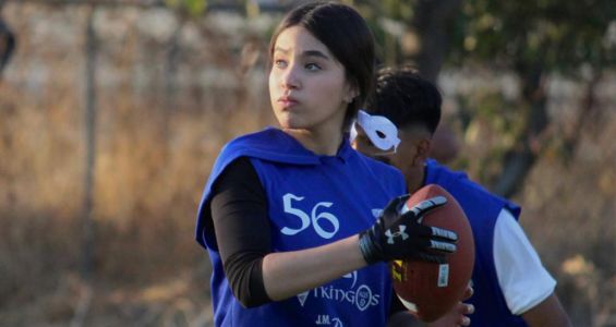 241_1-1-copyright1-11