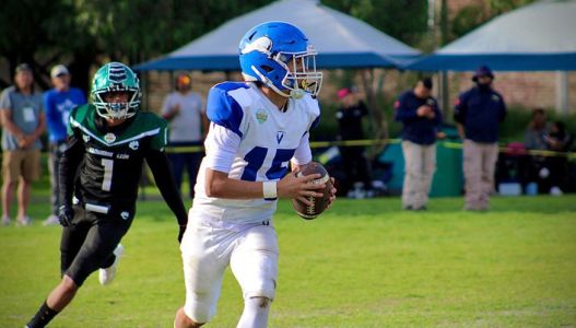 241_1-2-copyright1-11